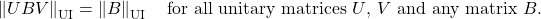 \[\left\|UBV\right\|_{\rm UI} = \left\|B\right\|_{\rm UI} \quad \text{for all unitary matrices $U$, $V$ and any matrix $B$}.\]